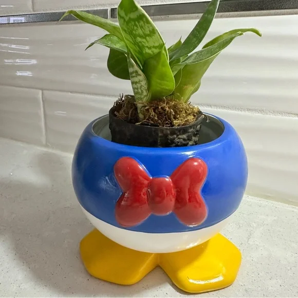 Disney Donald Duck 5.5” Planter Pot with Feet NEW - Picture 9 of 10
